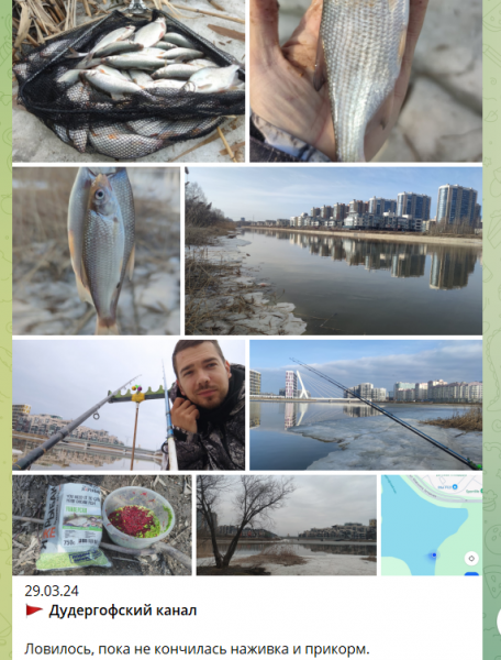 Подробнее о статье Новости о рыбалке в Ленинградской области 31.03.2024