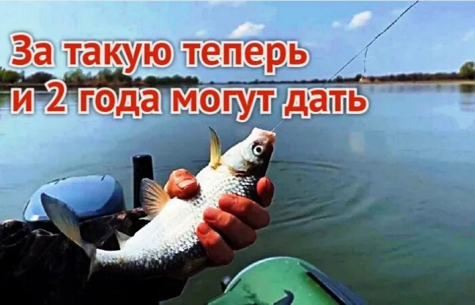 Подробнее о статье Суббота, 6-е: что рыбаков ждет послезавтра в Астраханской области – после вступления запрета на воблу