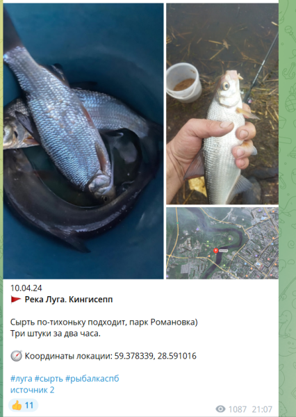Подробнее о статье Новости о рыбалке в Ленинградской области 12.04.2024