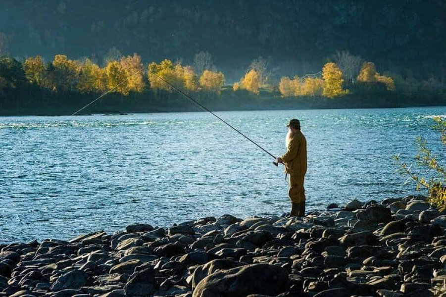 Подробнее о статье Какая рыба водится в реке Катунь на Горном Алтае