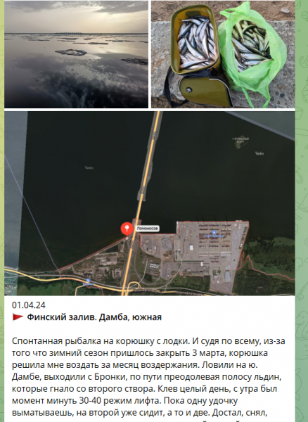 Подробнее о статье Новости о рыбалке в Ленинградской области 04.04.2024